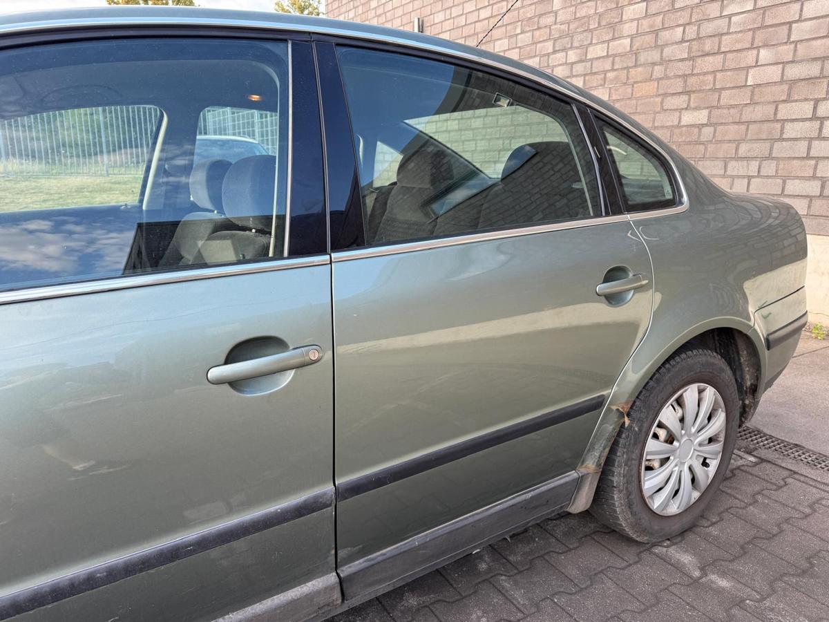 VW Passat 3BG original Tür hinten links LA6W Frescogrün Limousine Rohbau BJ01